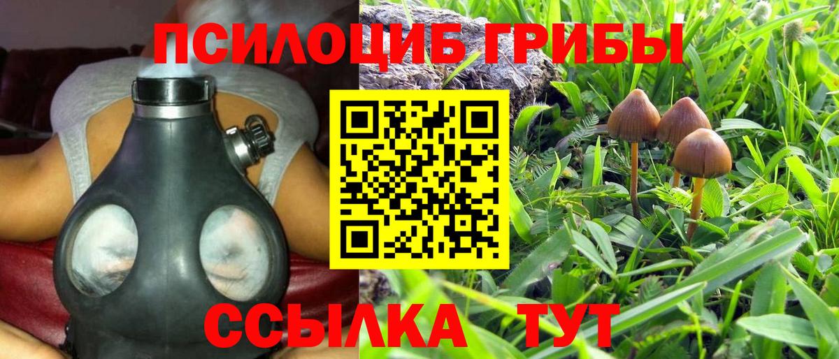 закладки  Галлюциногенные грибы Magic Shrooms  Вход с VPN  Звенигород 