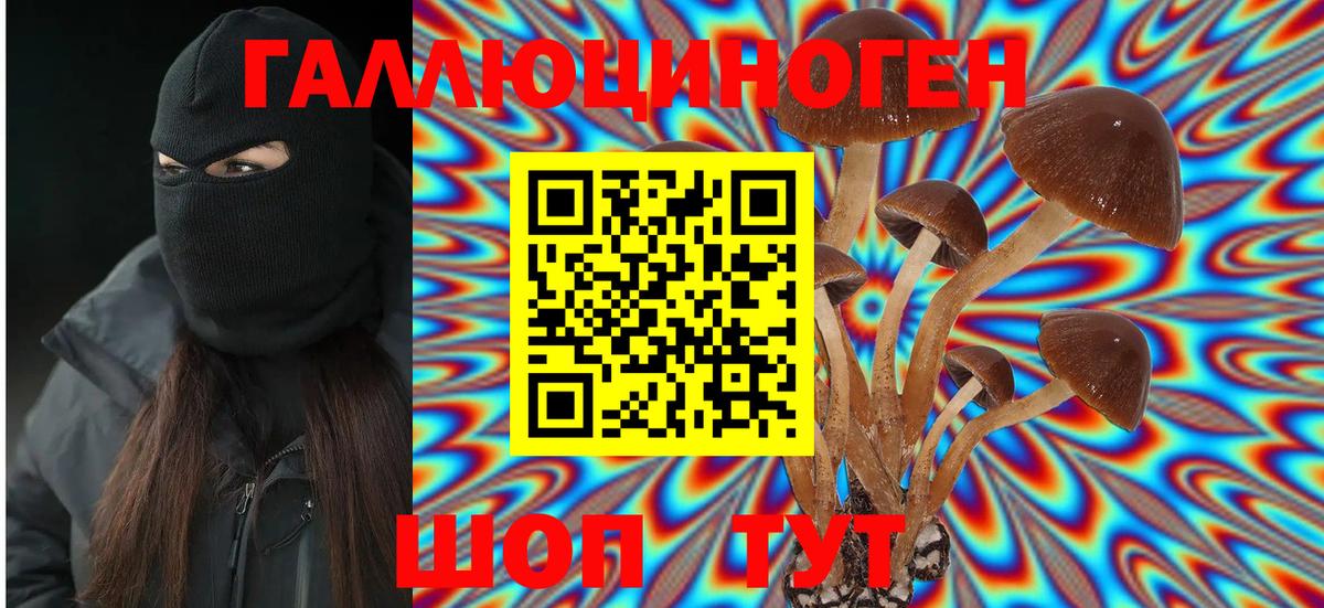 Галлюциногенные грибы ЛСД Звенигород